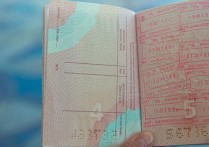 国内外国人工作许可证的分类有哪些？